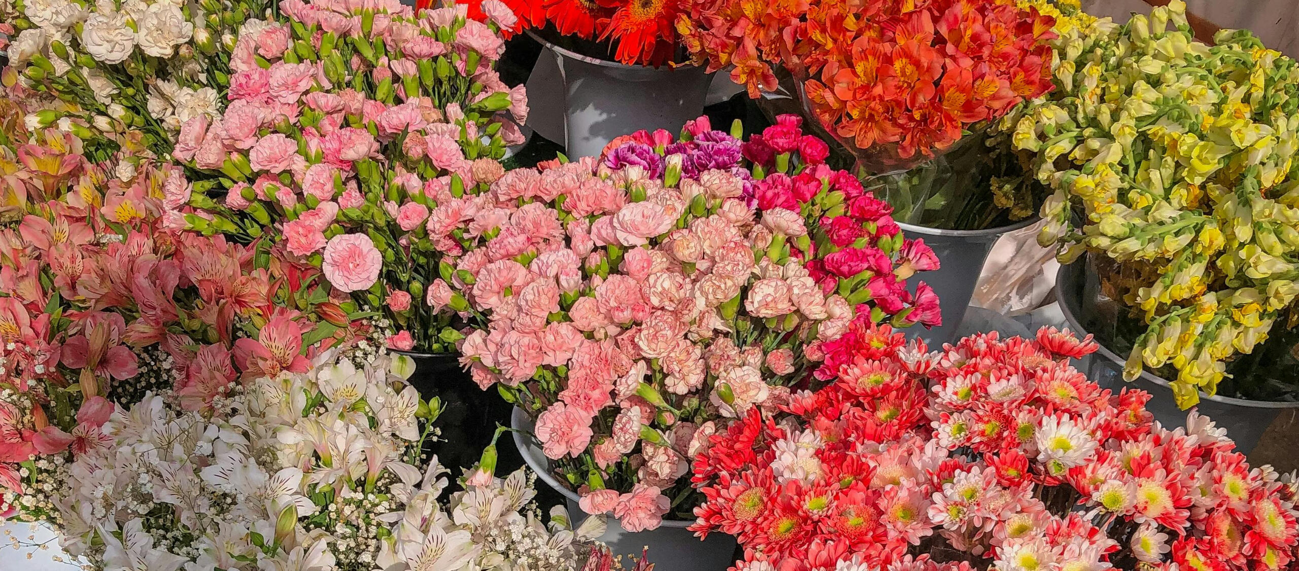 Photo by Safari Consoler: https://www.pexels.com/photo/equipment-in-shoes-store-11588305/